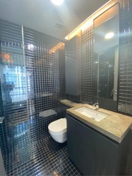 Skysuites@Anson (D2), Apartment #576492601